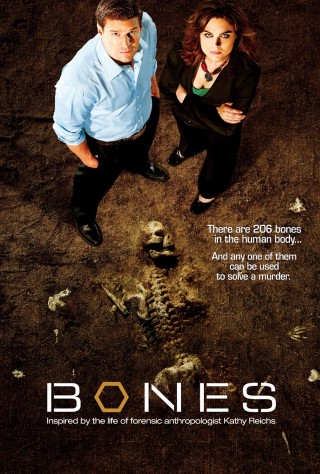 Bones - photo