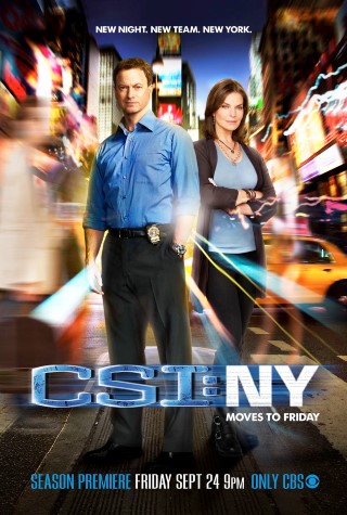CSI New York - picture