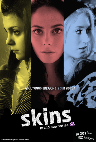 Skins - image