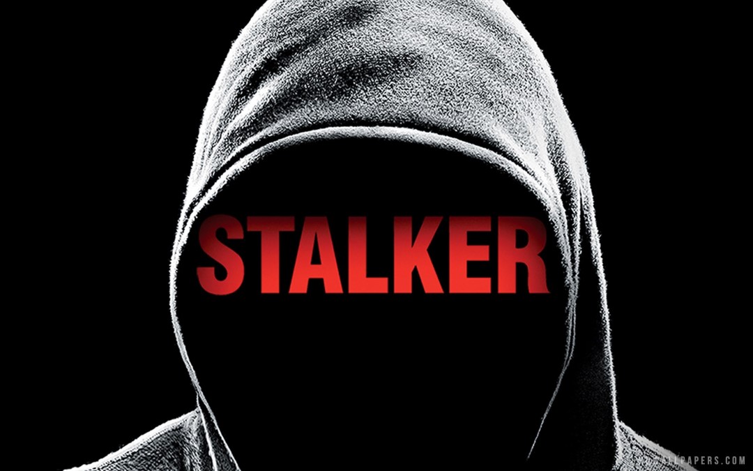 Stalker - image cover